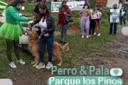 Perro y Pala, ¡si tu perro 🐕 se hace, tú no te hagas!