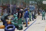 Se conservan las margaritas